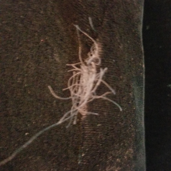 🎁 Ralph Lauren Velvet and Silk Faux jacket - Picture 8 of 8